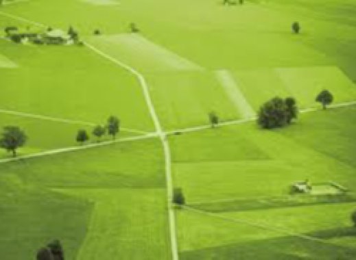 Jardins Do Vale